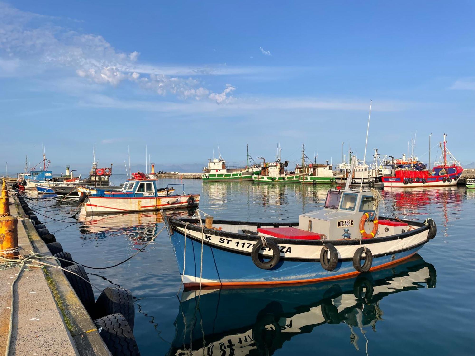 Appartamento Whalehaven Kalk Bay Esterno foto